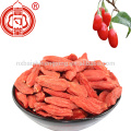 2017 nova ningxia seca goji berry rússia dropshipping por atacado